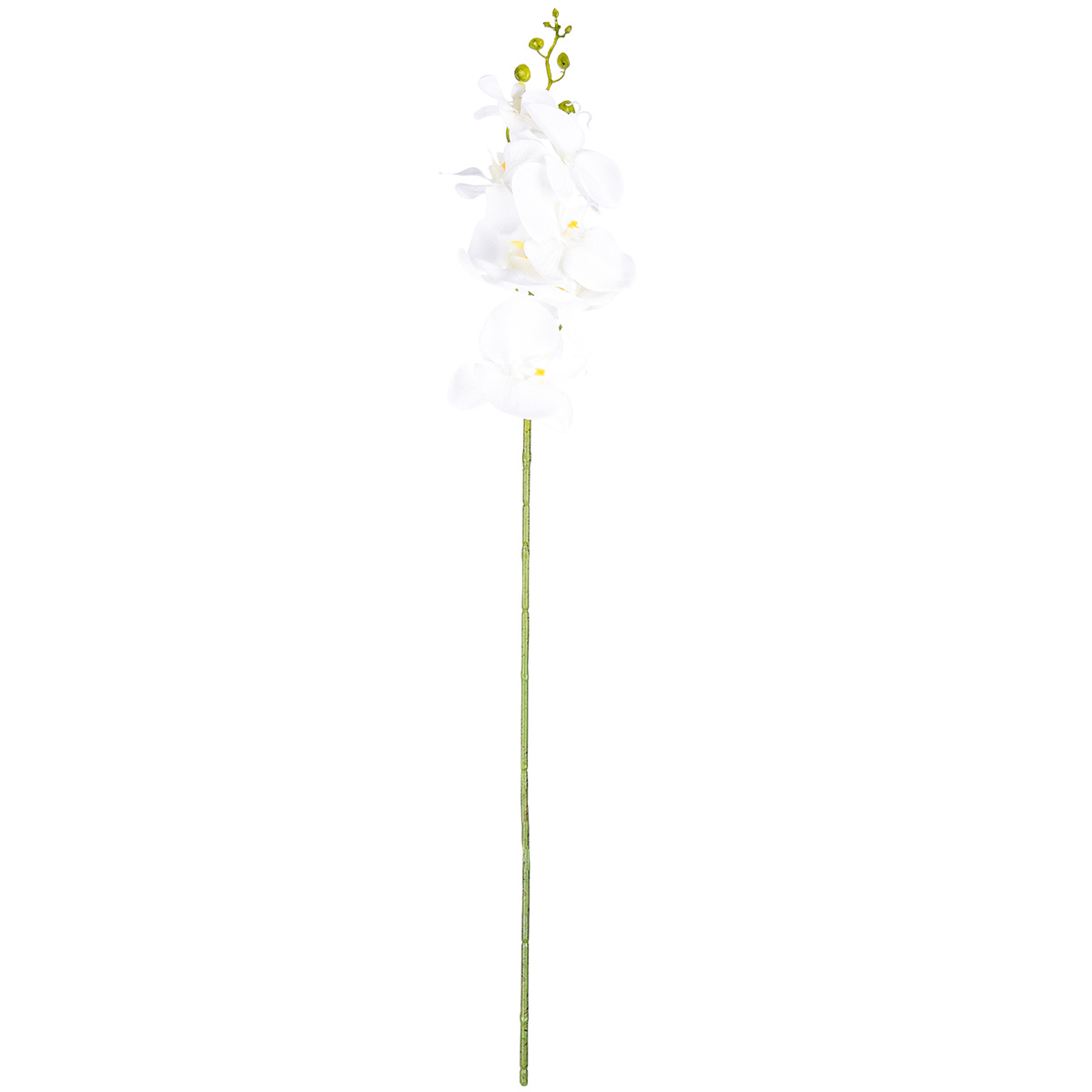 Umělá Orchidej čistě bílá, 86 cm