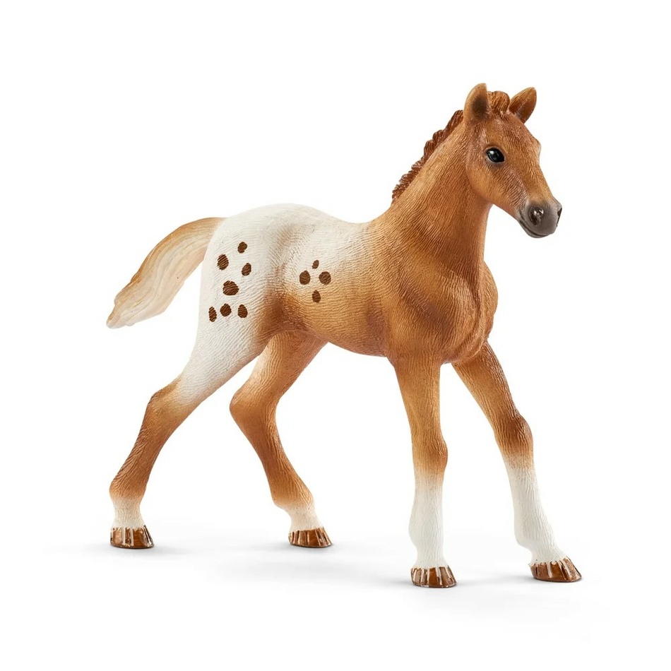 Schleich 42433 Appalosští koně a tréninkové příslušenství, 7 ks