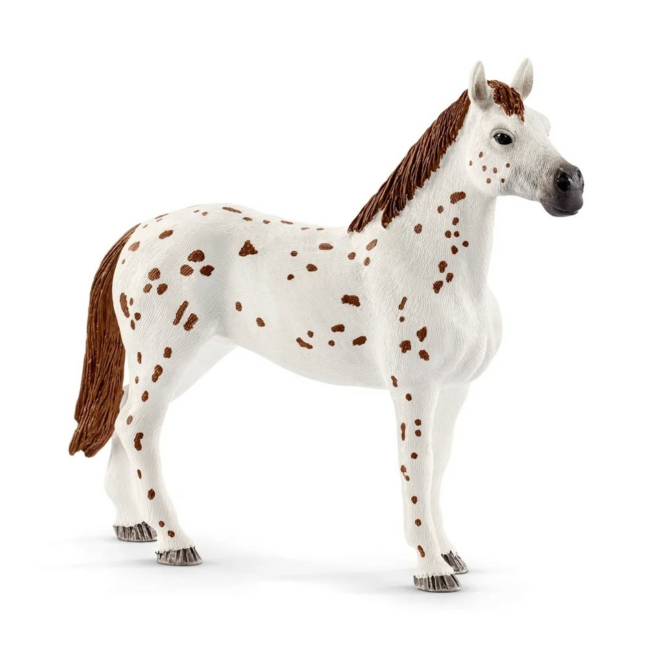 Schleich 42433 Appalosští koně a tréninkové příslušenství, 7 ks