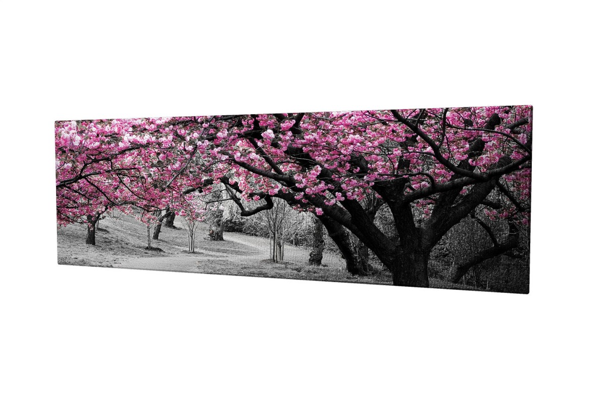 Wallity Obraz na plátně Cherry tree alley PC017 30x80 cm