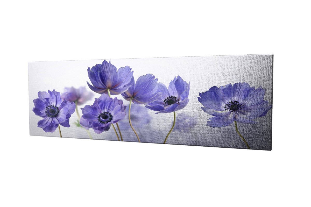 Wallity Obraz na plátně Violet beauty PC028 30x80 cm