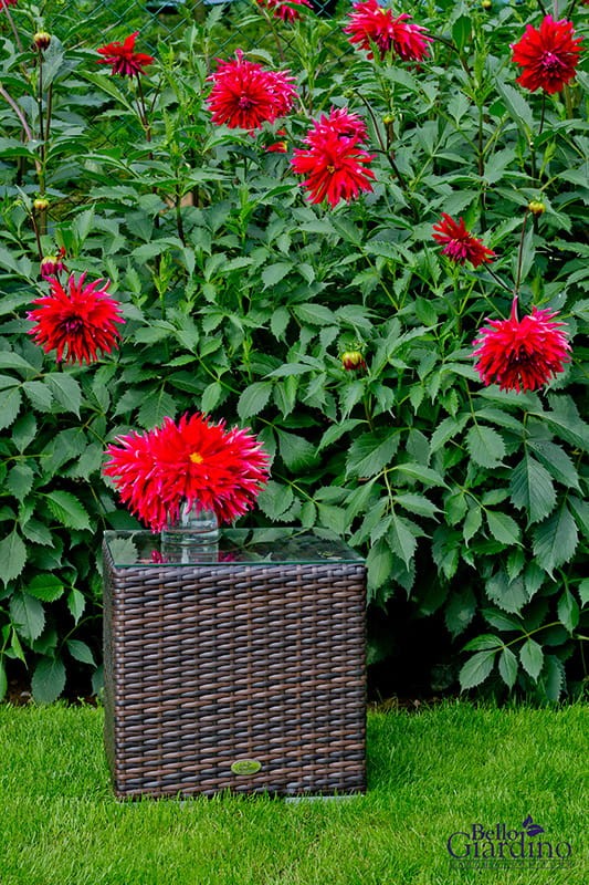 Bello Giardino Zahradní stolek Slodin tmavě hnědý