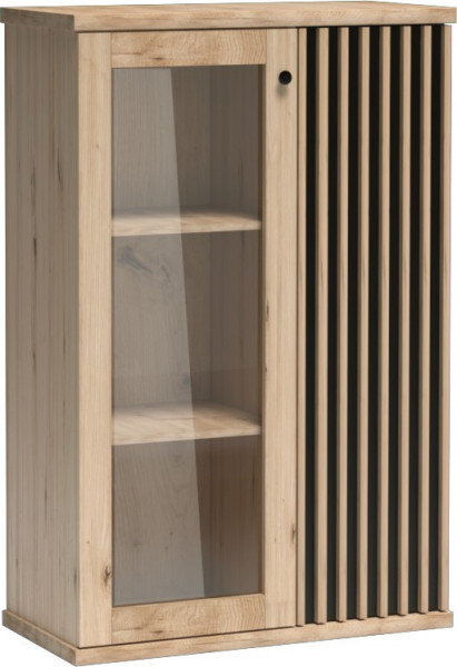 Casarredo Vitrína 2D BARBUS dub artisan/černá