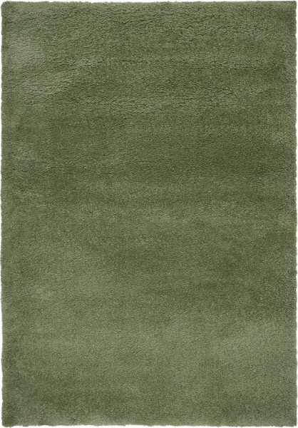 Zelený koberec 200x290 cm – Flair Rugs