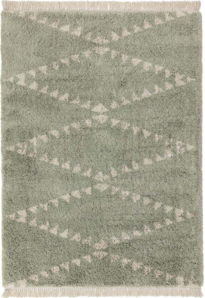 Zelený koberec 160x230 cm Rocco – Asiatic Carpets