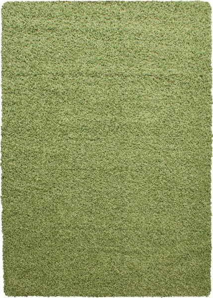 Zelený koberec 120x170 cm Life – Ayyildiz Carpets