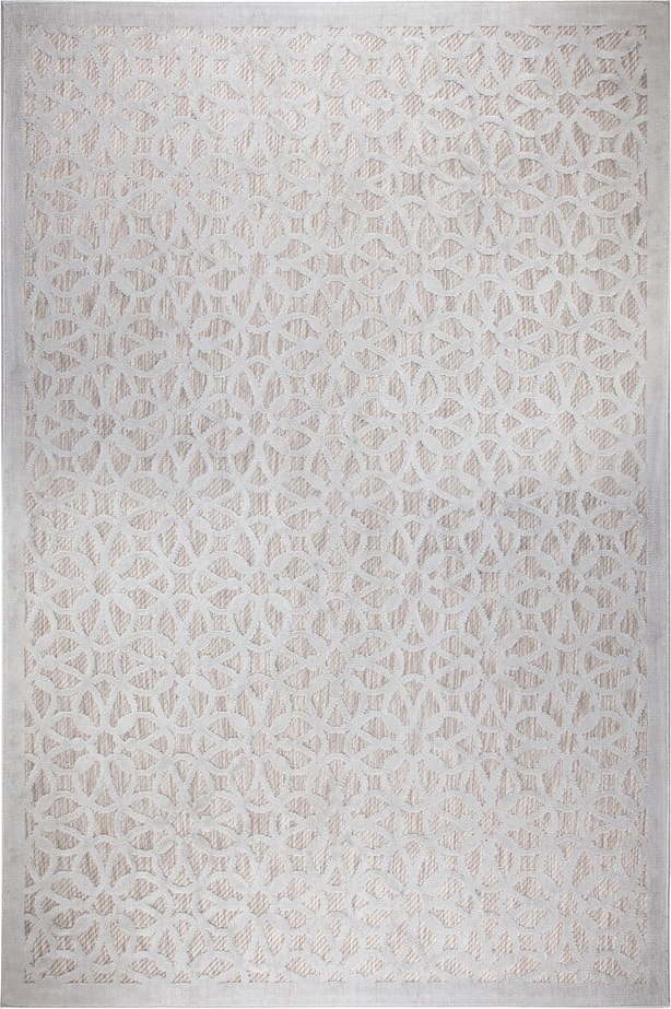 Šedý venkovní koberec 230x160 cm Argento - Flair Rugs