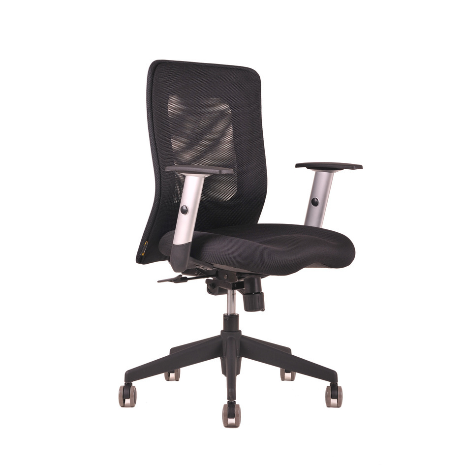 Kancelářská židle na kolečkách Office Pro CALYPSO - s područkami Modrá 14A11