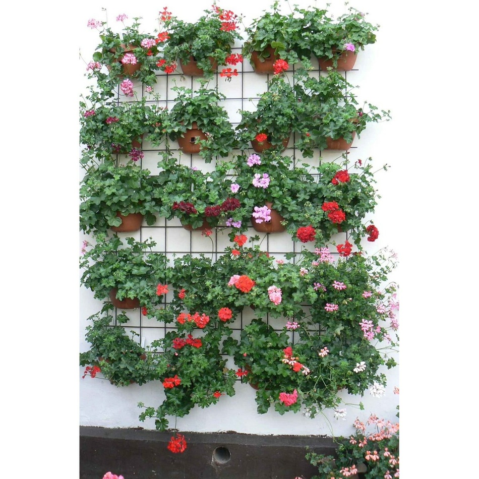 Samozavlažovací květináč na zeď Siesta, čokoláda, 29 cm, Plastia