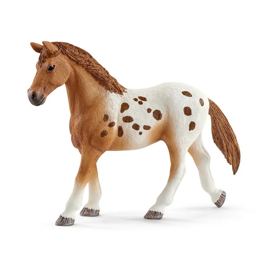 Schleich 42433 Appalosští koně a tréninkové příslušenství, 7 ks