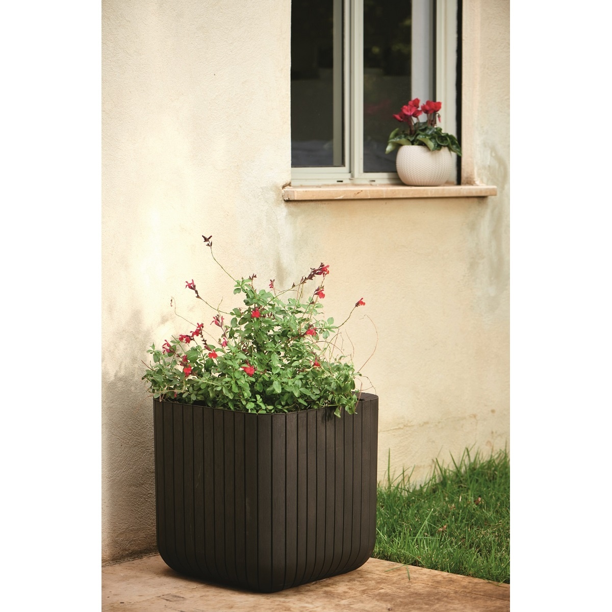 Keter Plastový květináč Cube planter M hnědá, 30 x 30 x 30 cm