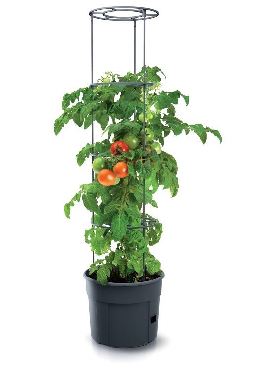 Prosperplast Květináč na pěstování rajčat GROWER antracit, varianta 39,2 cm