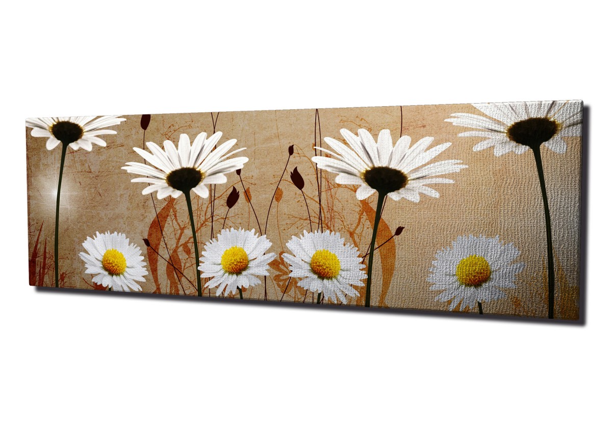 Wallity Obraz na plátně Daisies safari PC042 30x80 cm