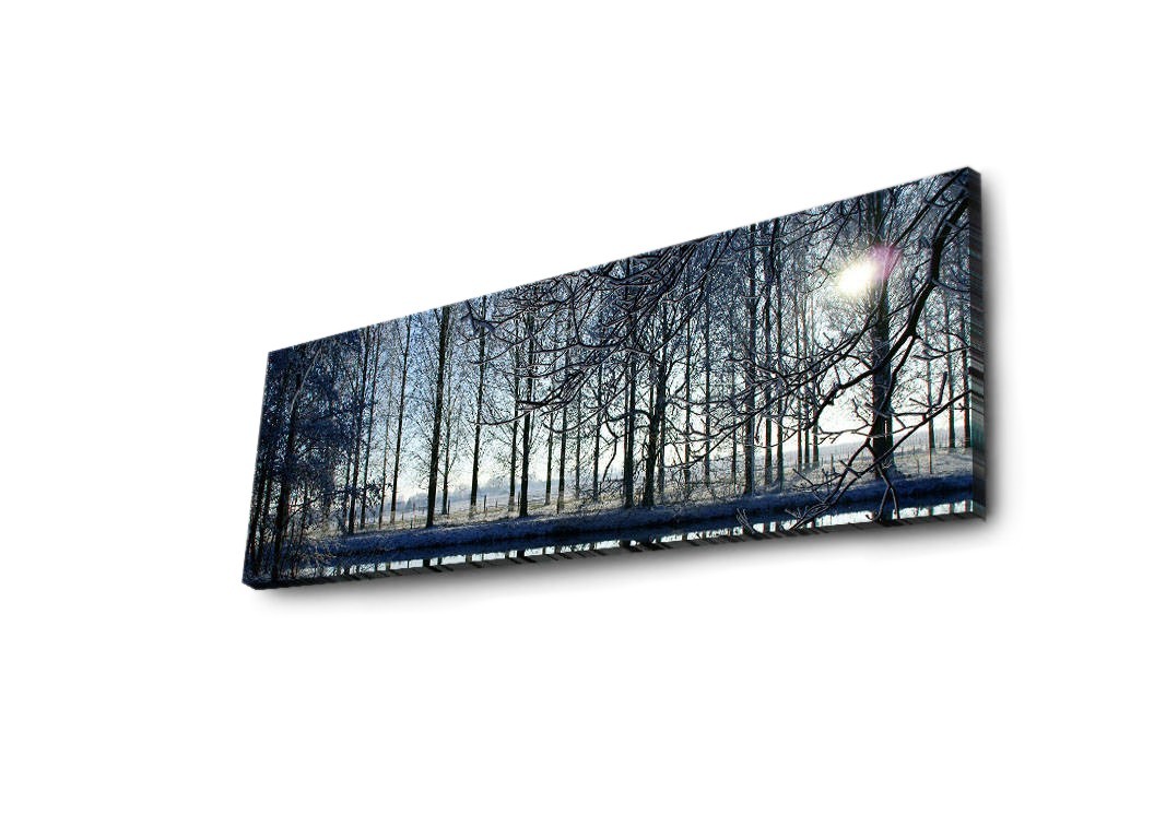 Wallity Obraz s LED osvětlením ZIMNÍ KRAJINA 37 30 x 90 cm