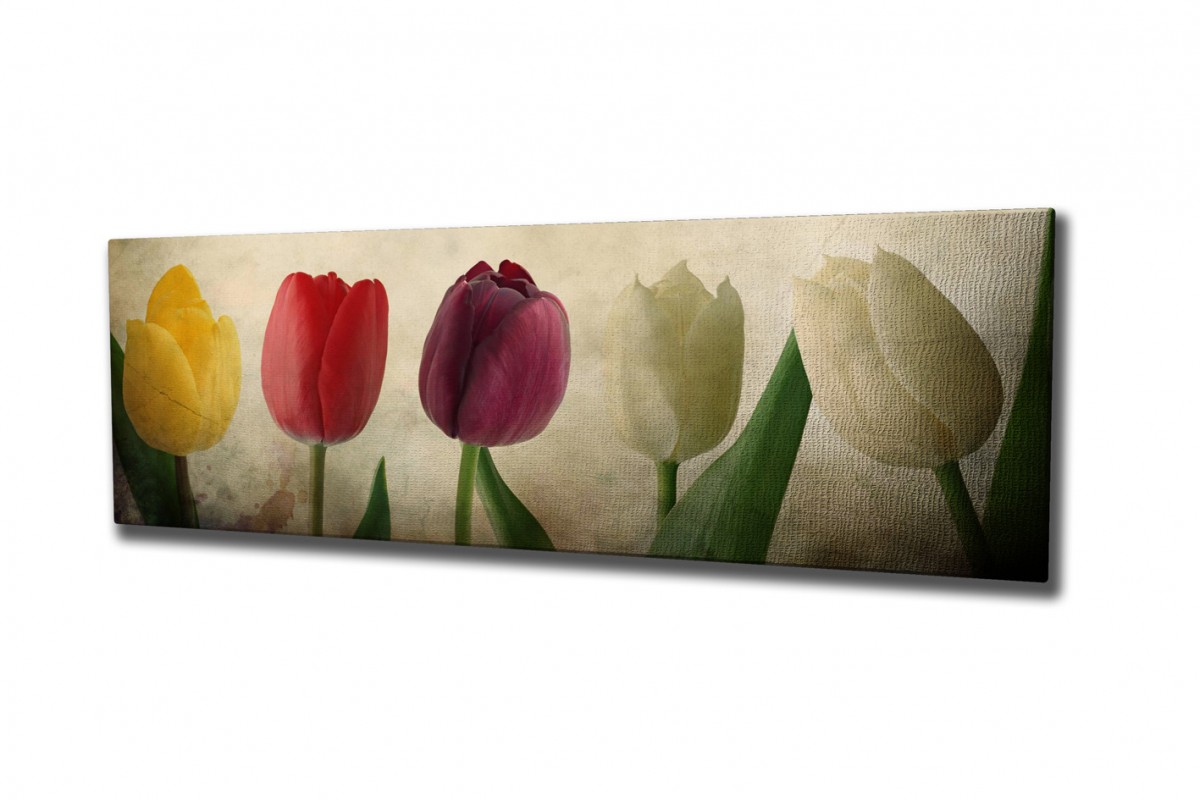 Hanah Home Obraz Tulipány 80x30 cm