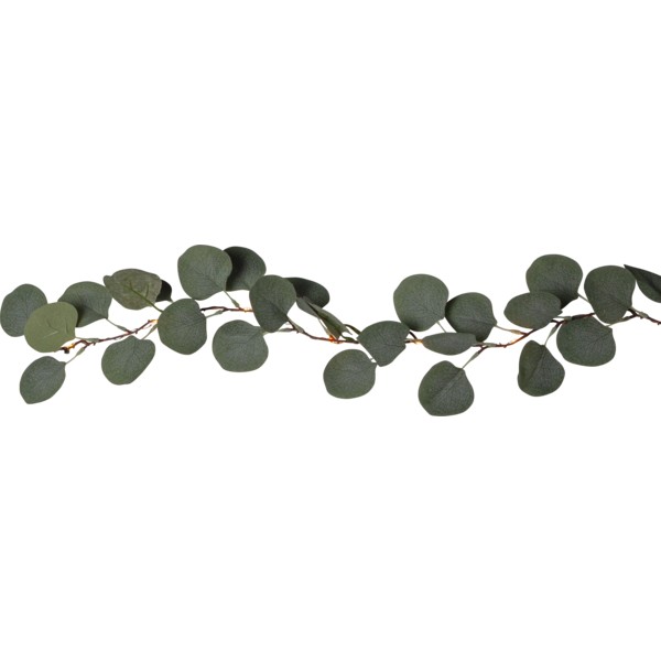 Světelná girlanda s listy eukalyptu délka 180 cm Star Trading Eucalyptus - zelená