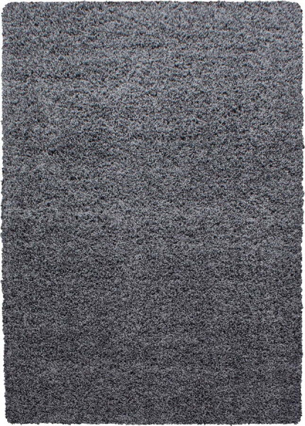 Tmavě šedý koberec 80x150 cm Life – Ayyildiz Carpets