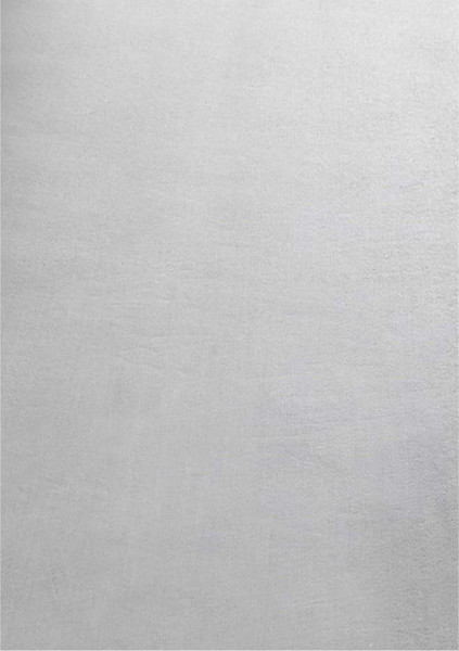 Světle šedý pratelný koberec 140x200 cm Sky – Ayyildiz Carpets